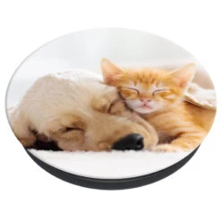 PopSockets - PopGrip Cat & Dog 7 PopSockets - PopGrip Cat & Dog -Mobilemania Magasin popsockets popgrip cat dog 1