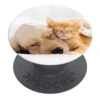 PopSockets - PopGrip Cat & Dog 2 PopSockets - PopGrip Cat & Dog -Mobilemania Magasin popsockets popgrip cat dog