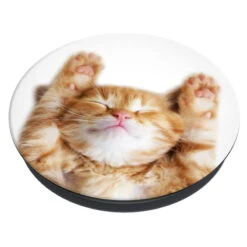 PopSockets - PopGrip Snoozy Cat -Mobilemania Magasin popsockets popgrip snoozy cat 1