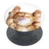 PopSockets - PopGrip Snoozy Cat -Mobilemania Magasin popsockets popgrip snoozy cat